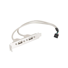 ADAPTADOR 2X USB PARA CONECTAR A PLACA BASE LANBERG BR-0005-S - CABLE 30CM